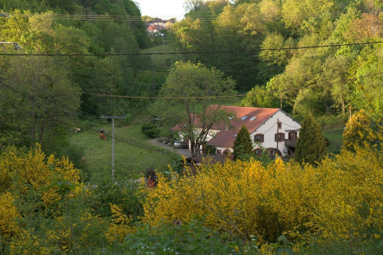 Vacance Conviviales Dans Les Vosges 8 Gites Ban-de-Sapt 외부 사진