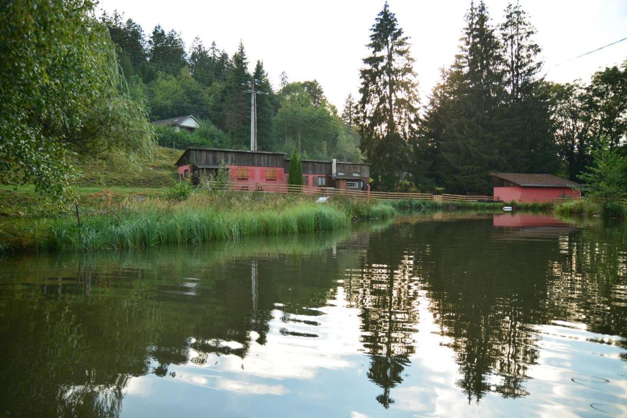 Vacance Conviviales Dans Les Vosges 8 Gites Ban-de-Sapt 외부 사진