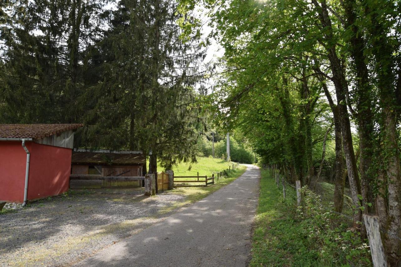 Vacance Conviviales Dans Les Vosges 8 Gites Ban-de-Sapt 외부 사진